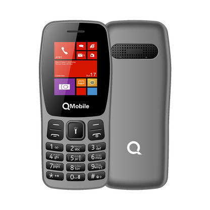 Q100