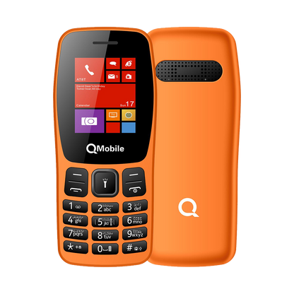 Q100