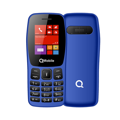 Q100