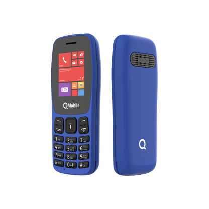 Q100