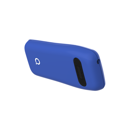Q100