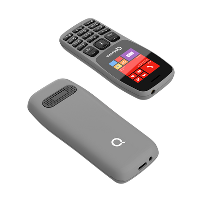 Q100
