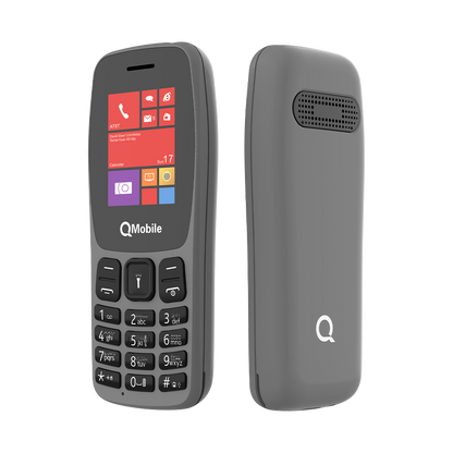 Q100