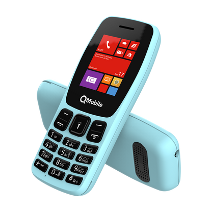 Q100