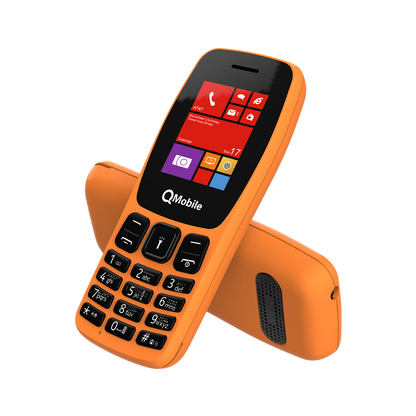 Q100